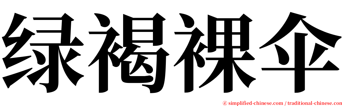 绿褐裸伞 serif font