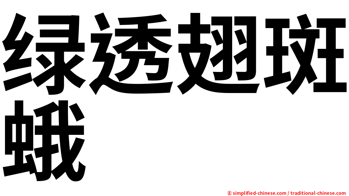 绿透翅斑蛾