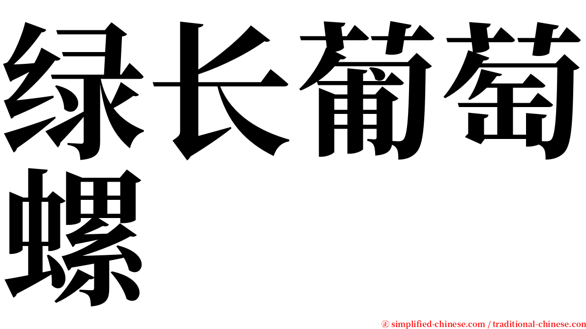 绿长葡萄螺 serif font