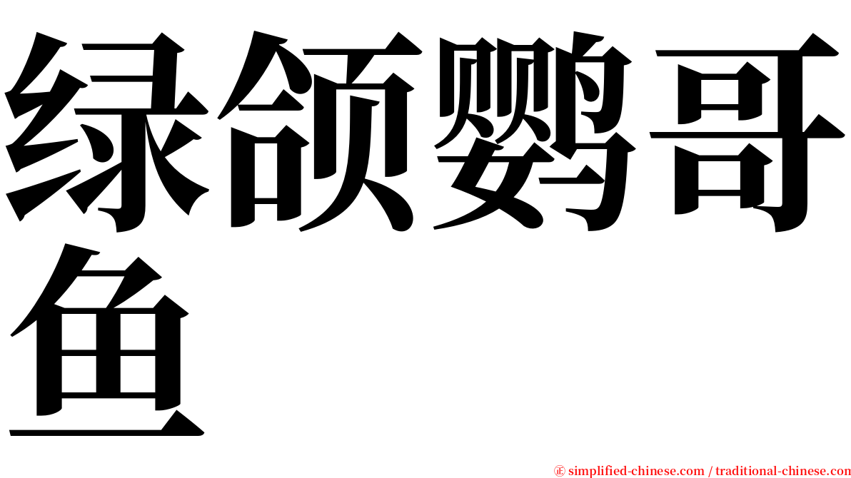 绿颌鹦哥鱼 serif font