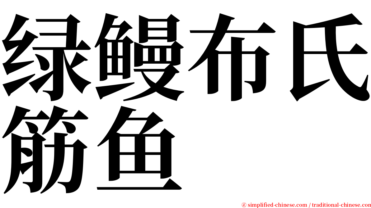 绿鳗布氏筋鱼 serif font
