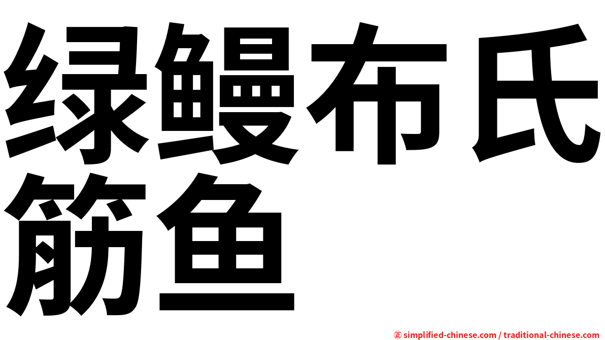 绿鳗布氏筋鱼