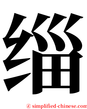 缁 serif font