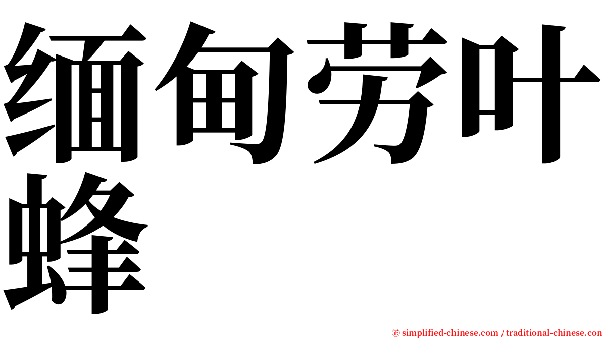 缅甸劳叶蜂 serif font