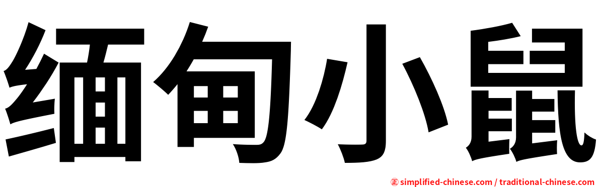 缅甸小鼠