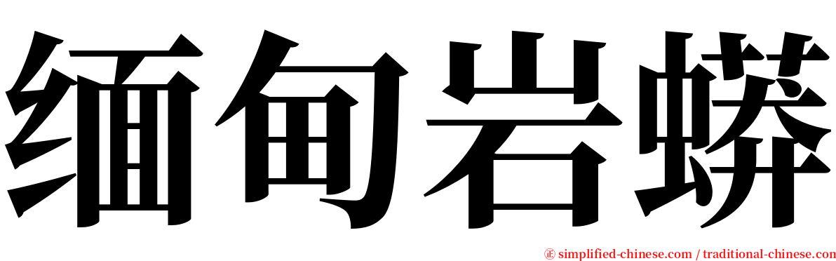 缅甸岩蟒 serif font