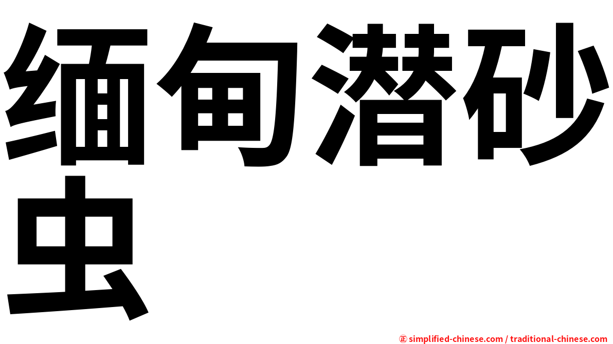 缅甸潜砂虫