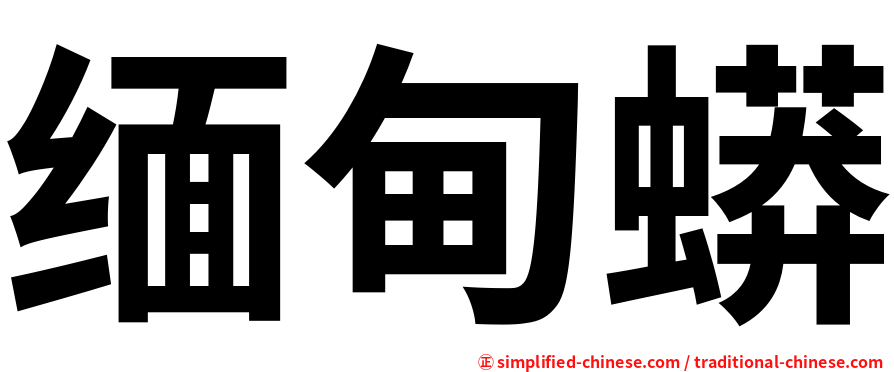 缅甸蟒