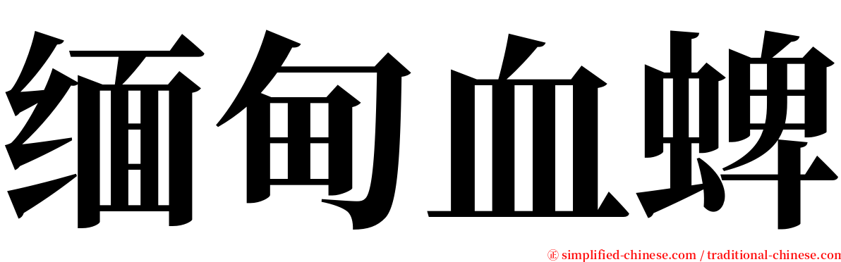 缅甸血蜱 serif font