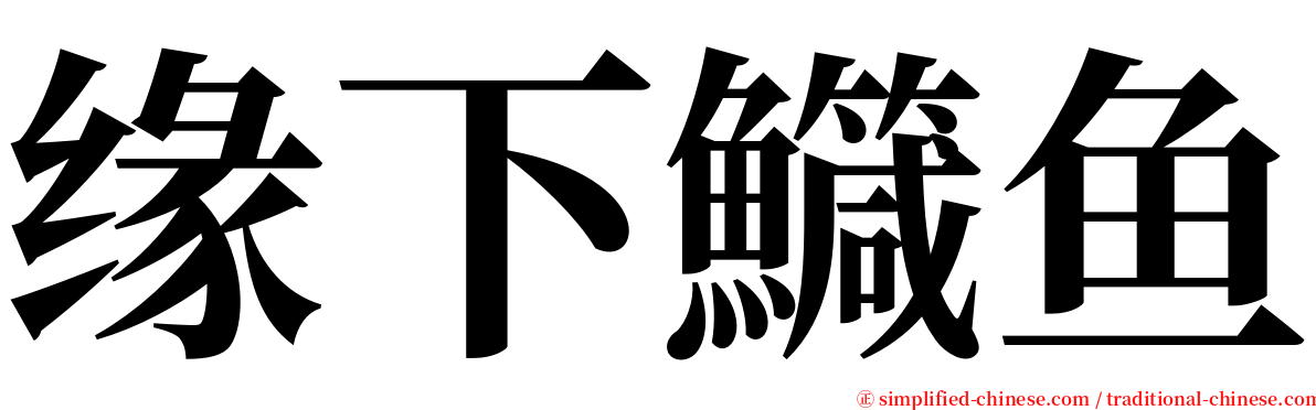 缘下鱵鱼 serif font