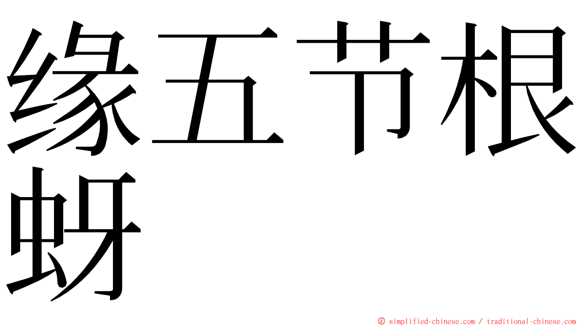 缘五节根蚜 ming font