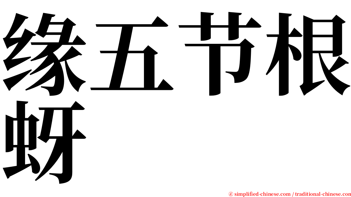 缘五节根蚜 serif font