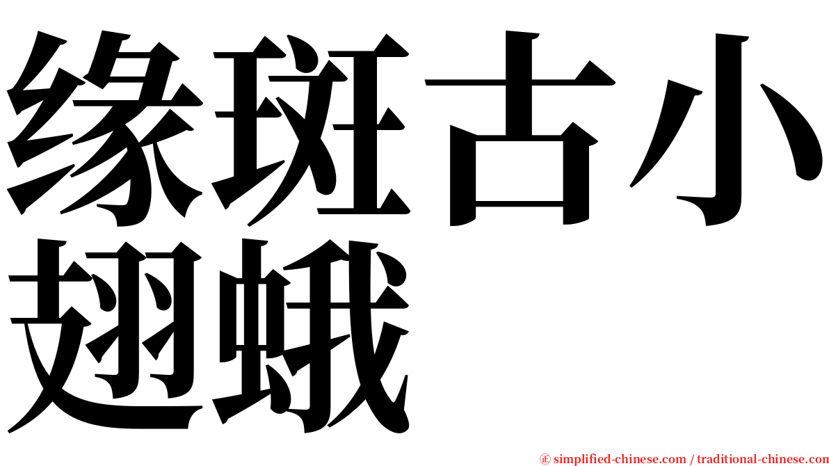 缘斑古小翅蛾 serif font