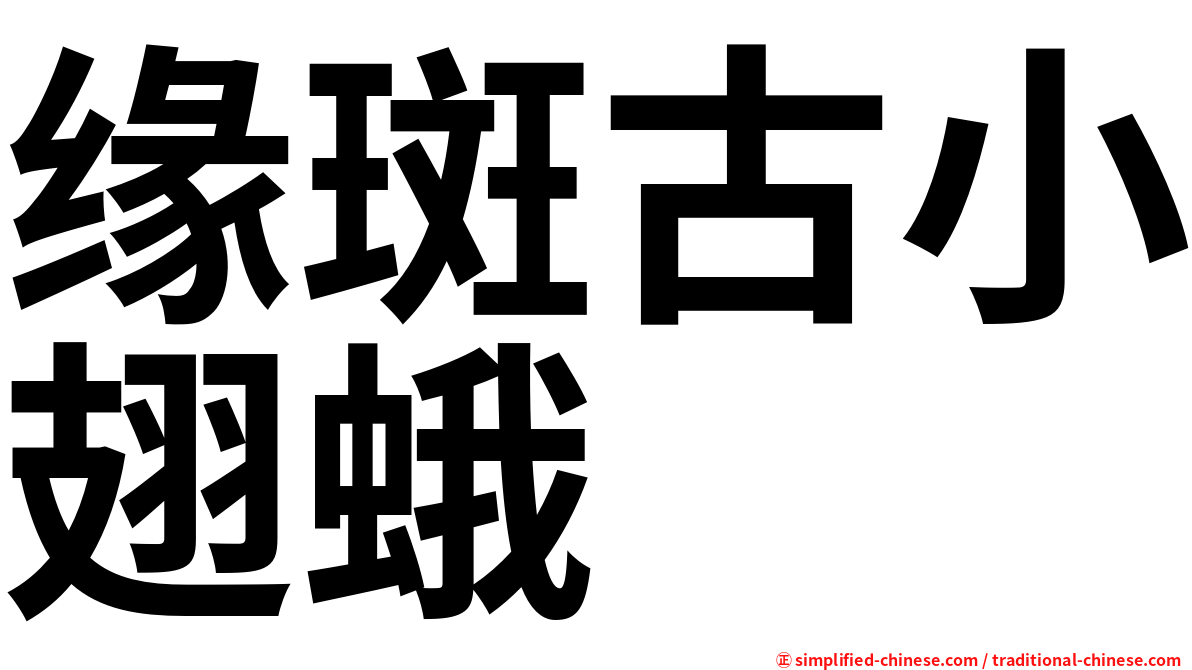 缘斑古小翅蛾