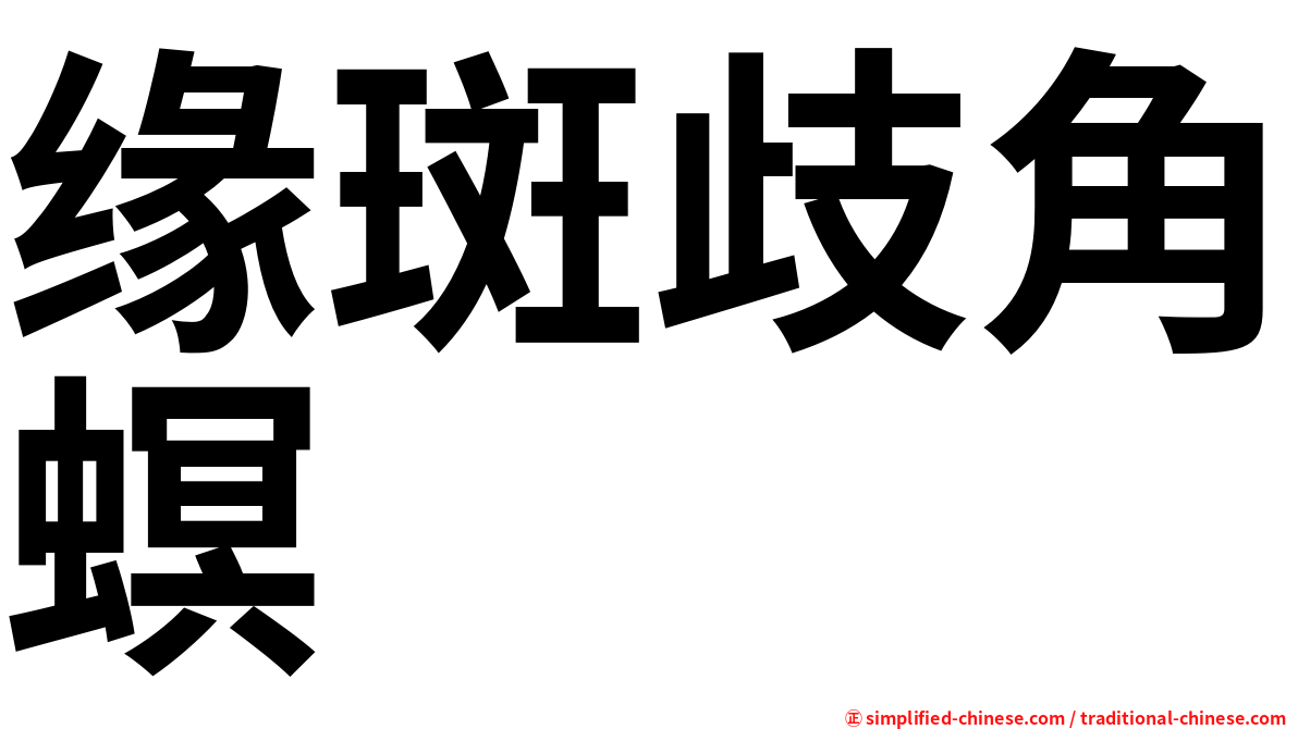 缘斑歧角螟