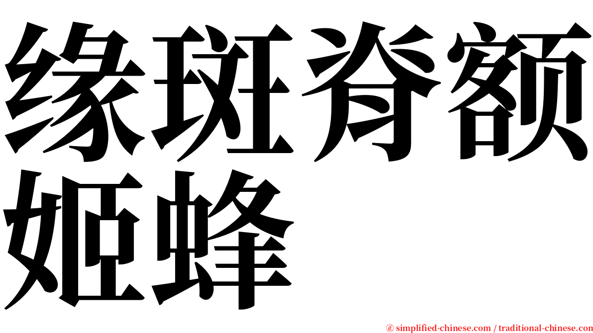 缘斑脊额姬蜂 serif font