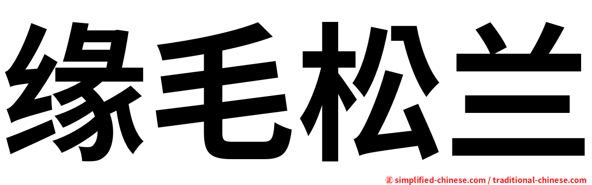 缘毛松兰