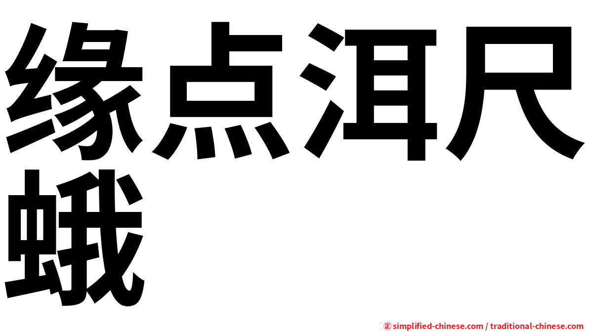 缘点洱尺蛾