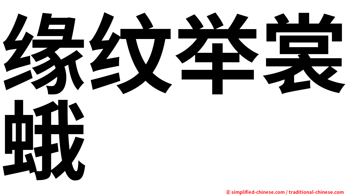 缘纹举裳蛾