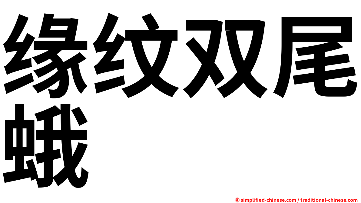 缘纹双尾蛾