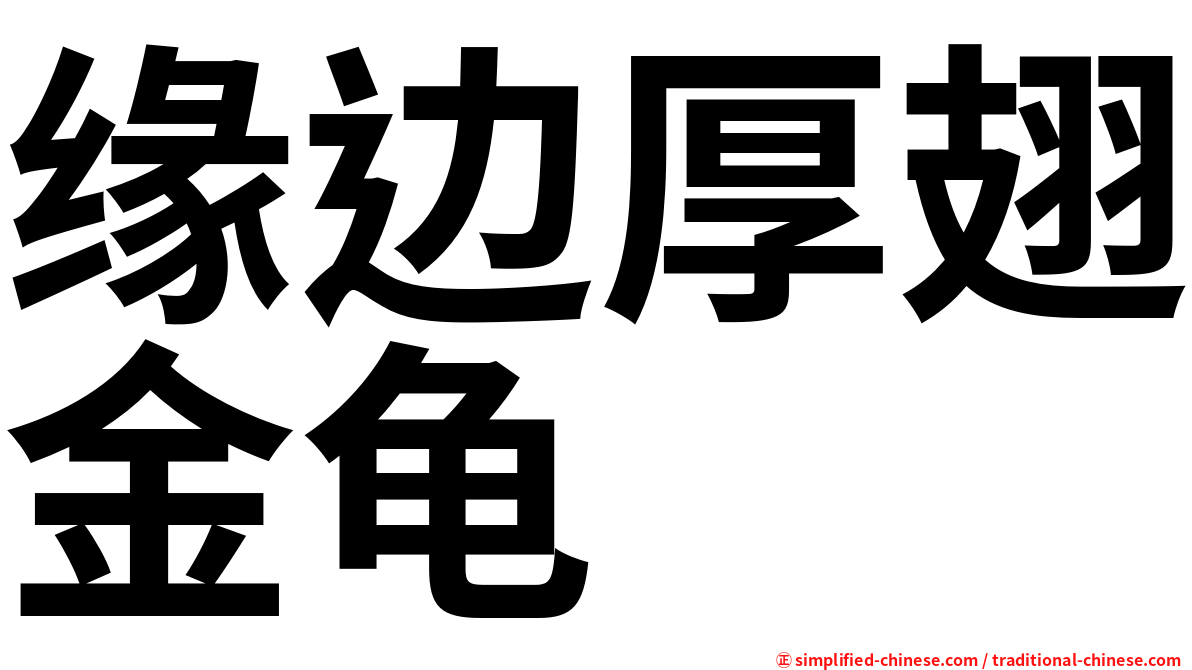 缘边厚翅金龟