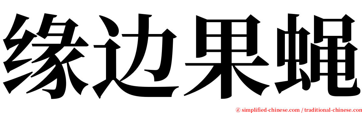 缘边果蝇 serif font