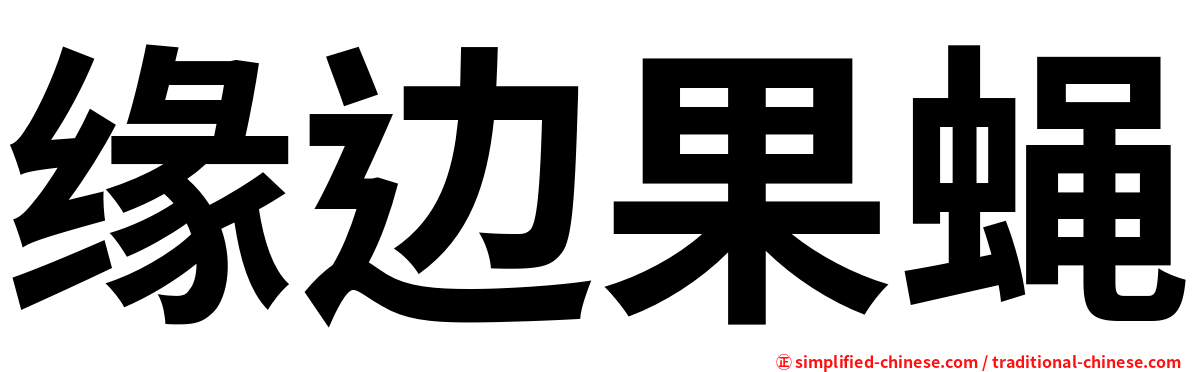 缘边果蝇