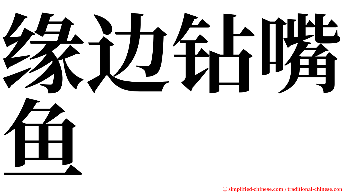 缘边钻嘴鱼 serif font