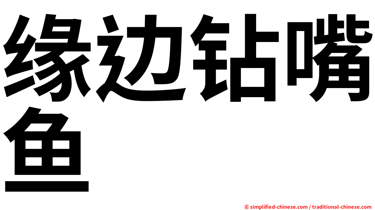 缘边钻嘴鱼