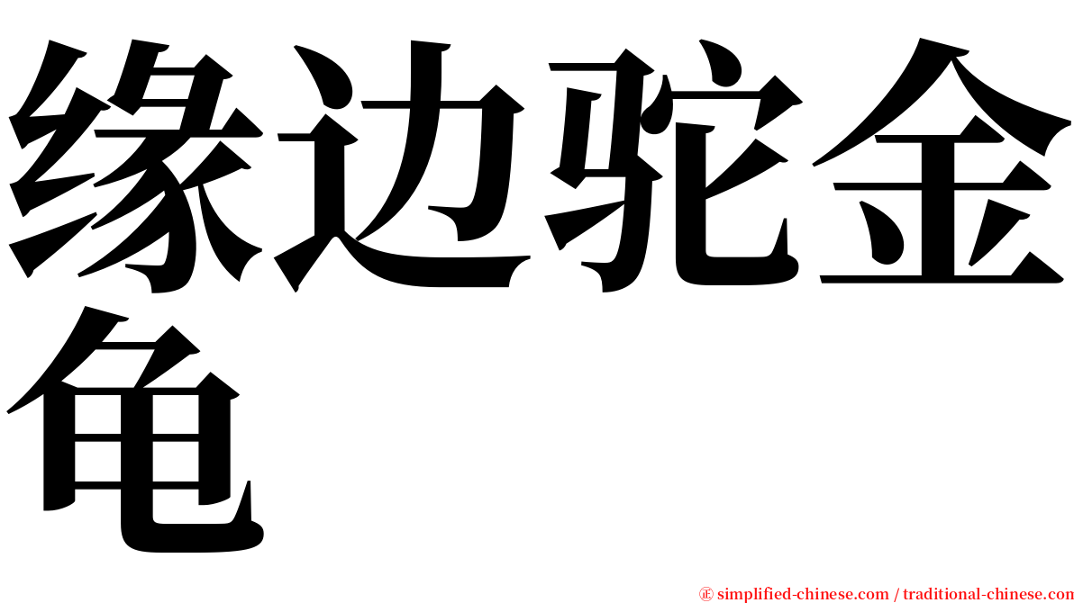 缘边驼金龟 serif font