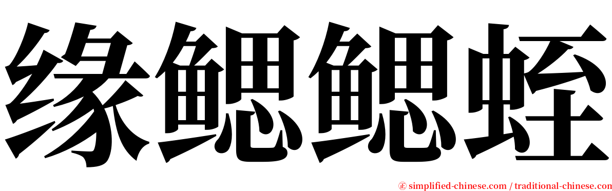 缘鳃鳃蛭 serif font