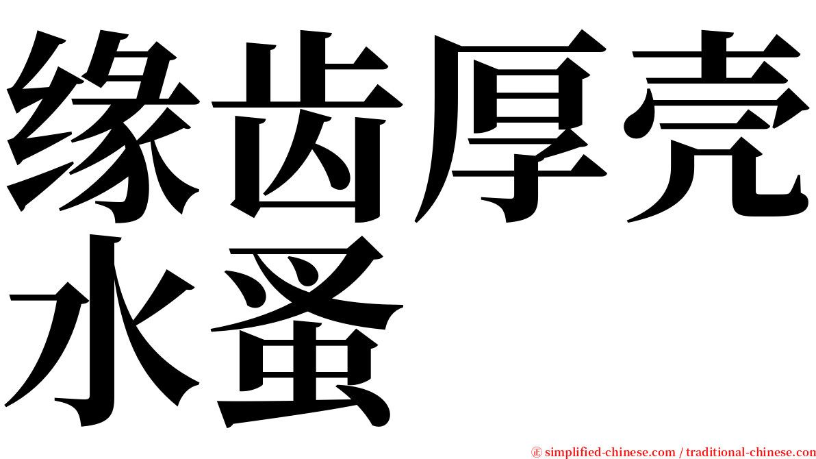 缘齿厚壳水蚤 serif font