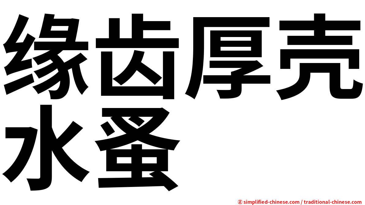 缘齿厚壳水蚤