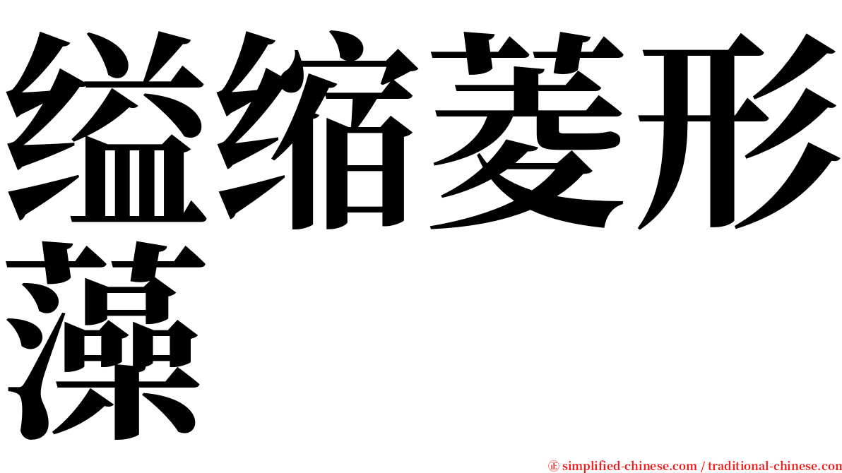 缢缩菱形藻 serif font
