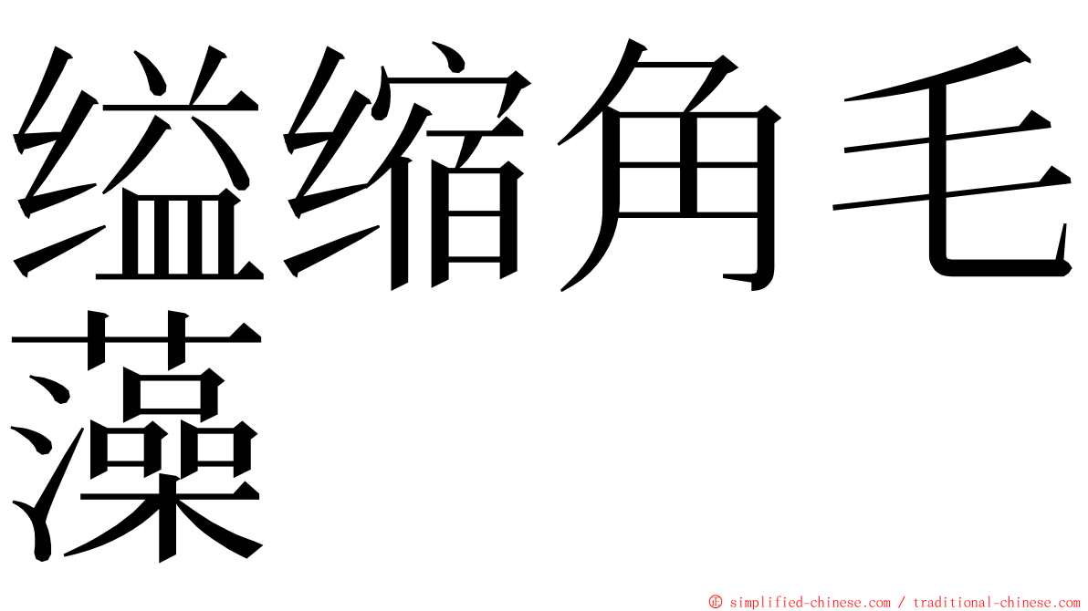 缢缩角毛藻 ming font