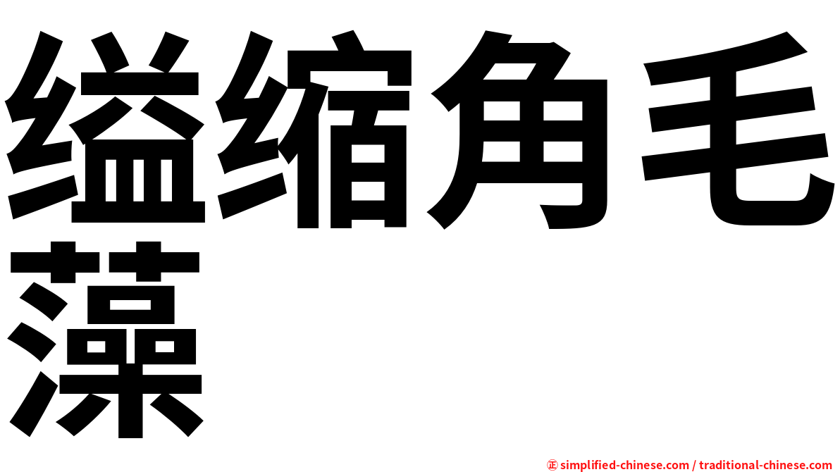 缢缩角毛藻