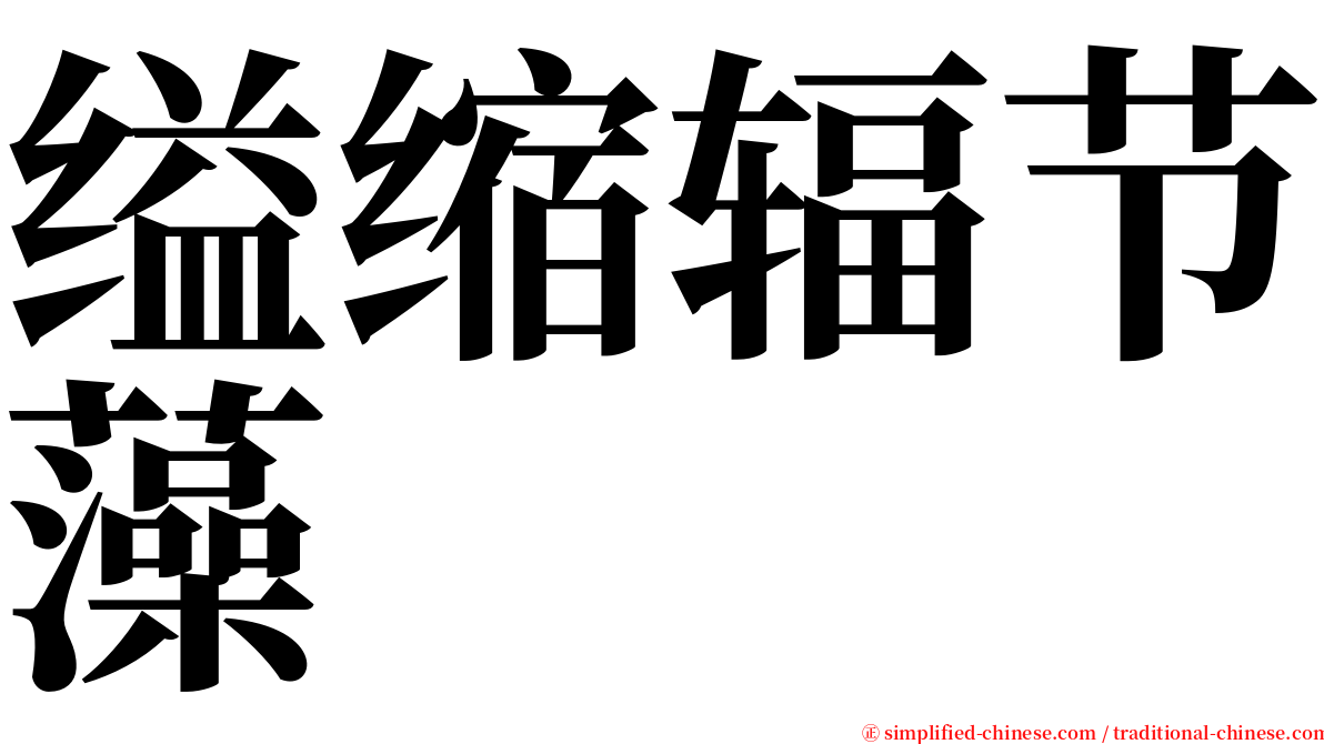 缢缩辐节藻 serif font