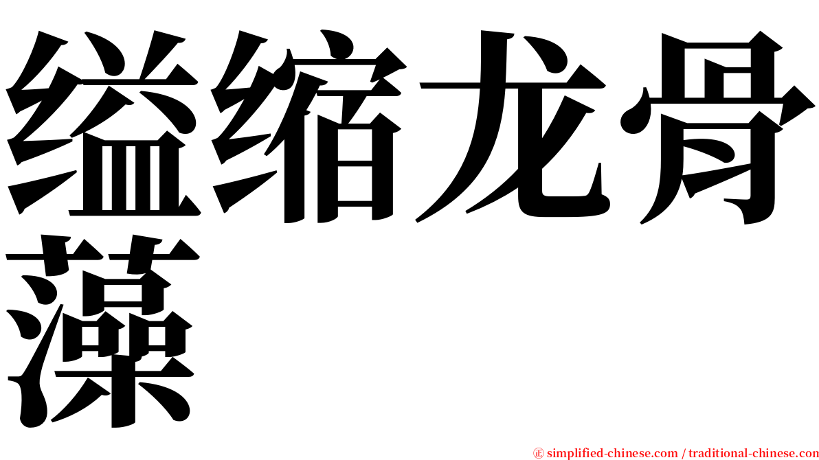 缢缩龙骨藻 serif font