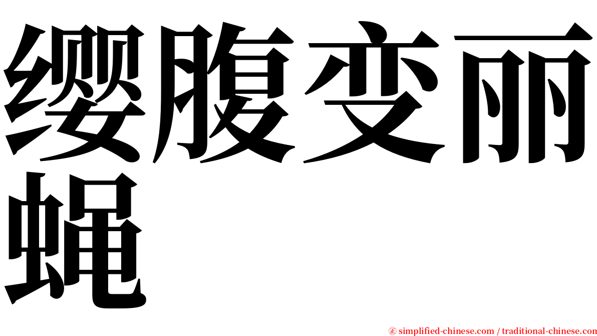 缨腹变丽蝇 serif font