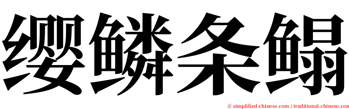 缨鳞条鳎 serif font