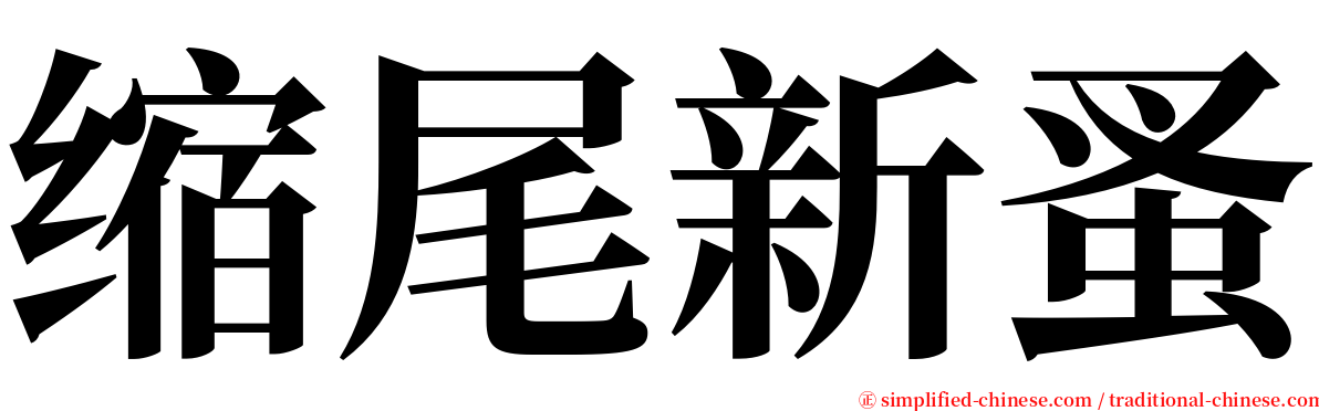缩尾新蚤 serif font