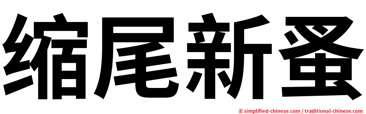 缩尾新蚤