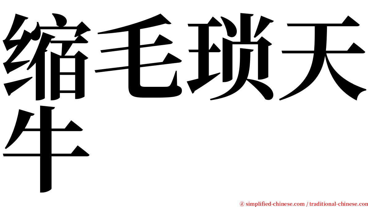 缩毛琐天牛 serif font