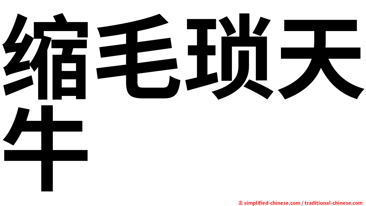 缩毛琐天牛