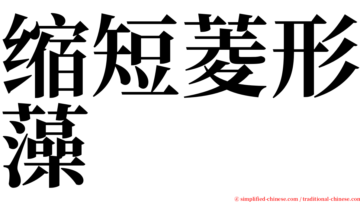 缩短菱形藻 serif font