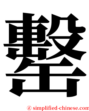 罊 serif font