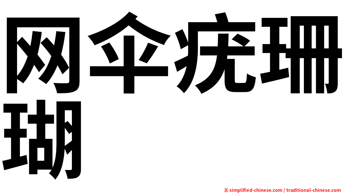 网伞疣珊瑚