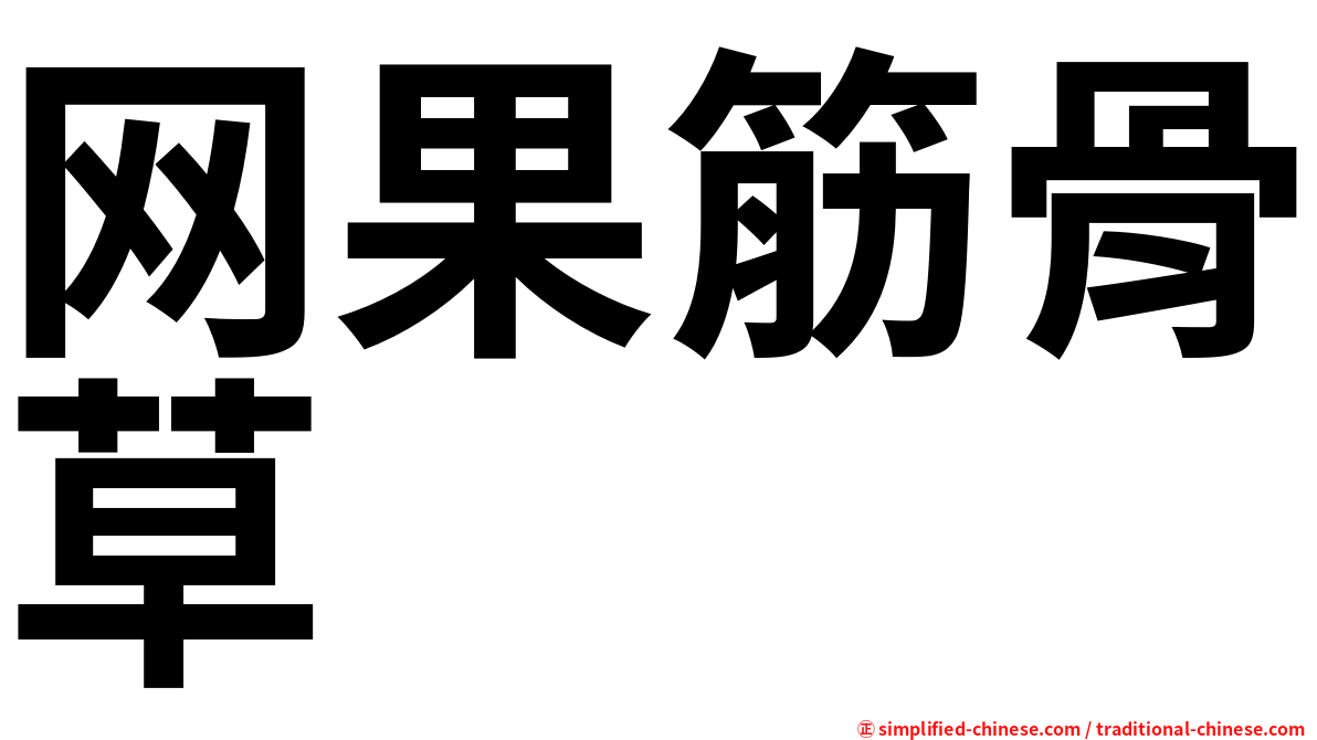 网果筋骨草