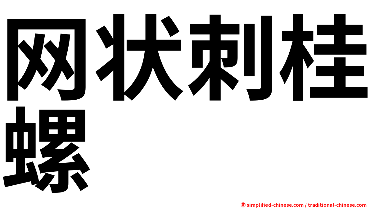 网状刺桂螺