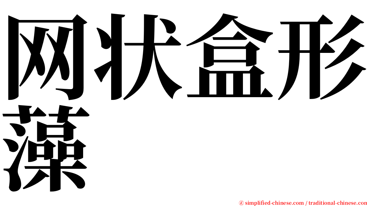 网状盒形藻 serif font